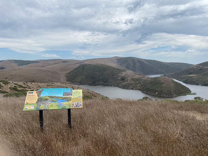 standing atop a hillside, an interpretive sign surrounded by knee high brush, has photos of local birds and mammals, down the hill the creek weaves in and out of other brown hills